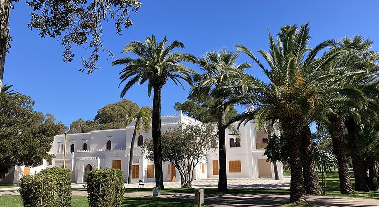 Visita panorámica de Tánger: Cap Spartel, Cuevas de Hércules y Parque Perdicaris