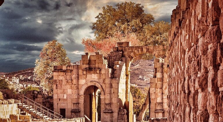 Tagesausflug von Amman nach Jerash