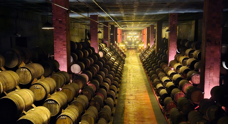 Tour della Bairrada, cibo e vino