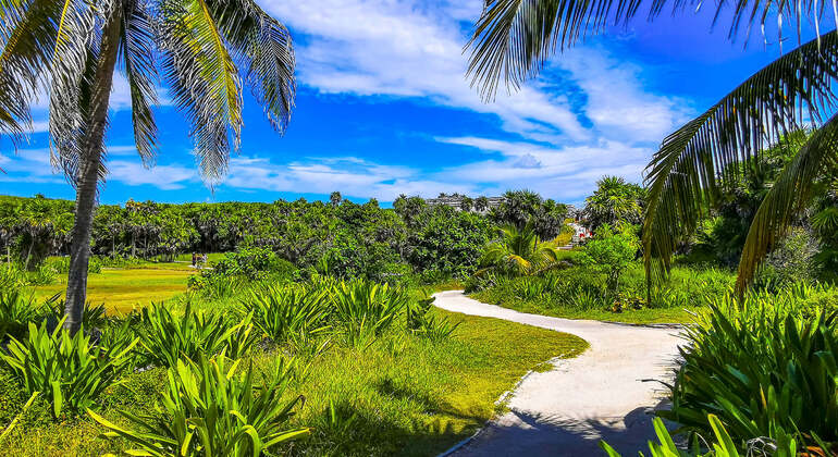 Audio Guide App: Tulum Ruins
