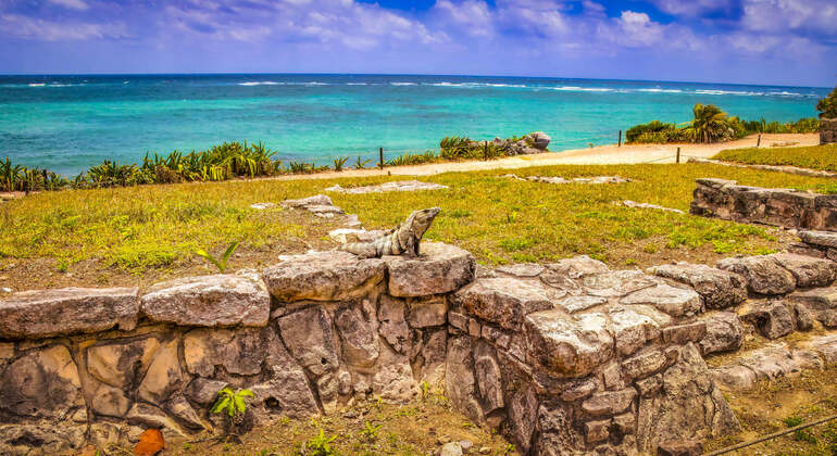 Audio Guide App: Tulum Ruins