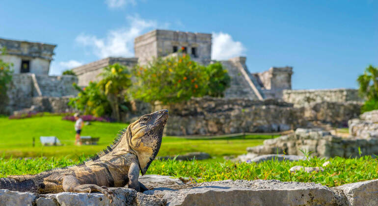 Audio Guide App: Tulum Ruins