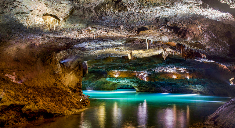 Excursion aux grottes de San José