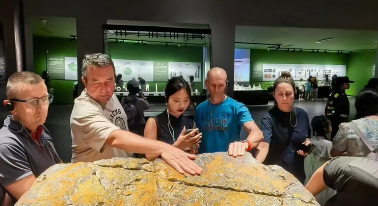 Descubra los pandas y la civilización Sanxingdui