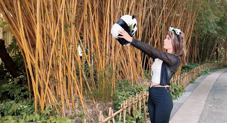 Descubra los pandas y la civilización Sanxingdui