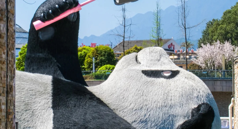 Excursión de un día a Dujiangyan y el Paraíso del Panda