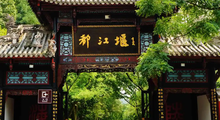 Excursión de un día a Dujiangyan y el Paraíso del Panda