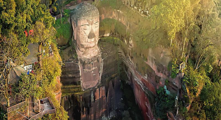 Excursión de un día en grupo al Parque del Panda de Chengdu y Buda de Leshan
