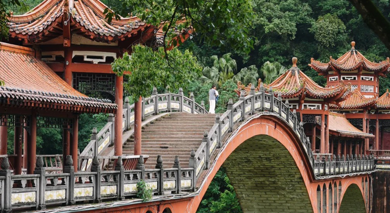 Excursión de medio día al Buda Gigante de Leshan
