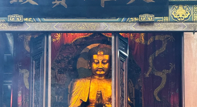 Excursión de medio día al Buda Gigante de Leshan