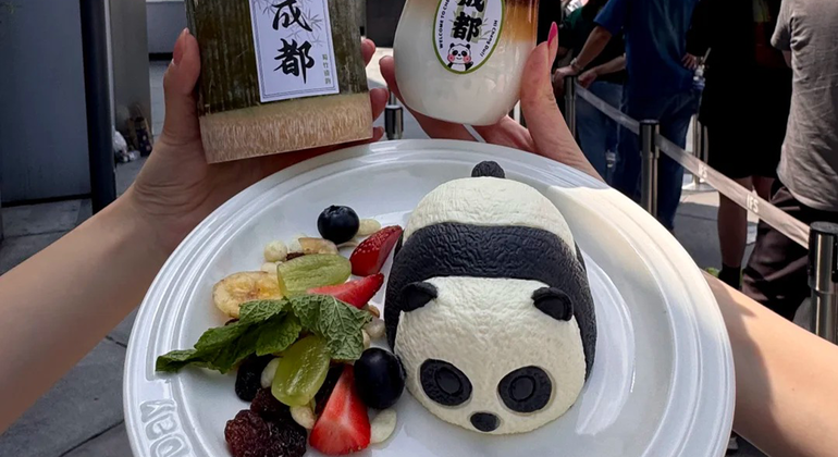 Visita de medio día a la base del panda de Chengdu