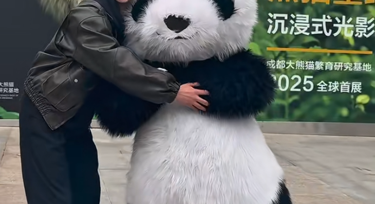 Visita de medio día a la base del panda de Chengdu