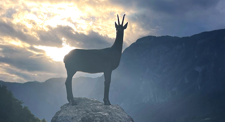 Tour to Bled and Bohinj Lakes: Spectacular Nature of Slovenia