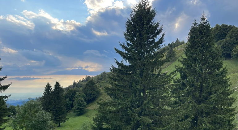 The Best of Northern Soča: Waterfalls and Alpine Landscapes