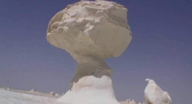 Tour del deserto in bianco e nero nell'oasi di Bahariya