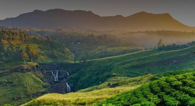 Tuktuk Nuwara Eliya Teafactory & Waterfalls Tour