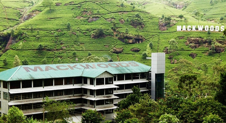 Tuktuk Nuwara Eliya Teafactory & Waterfalls Tour