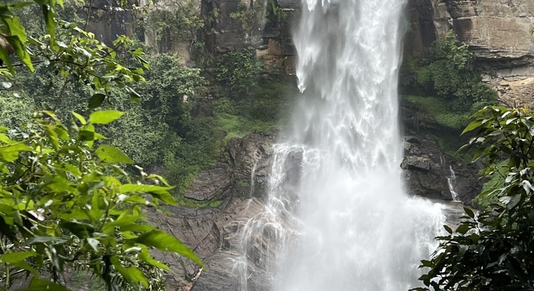 Tuktuk Nuwara Eliya Teafactory & Waterfalls Tour