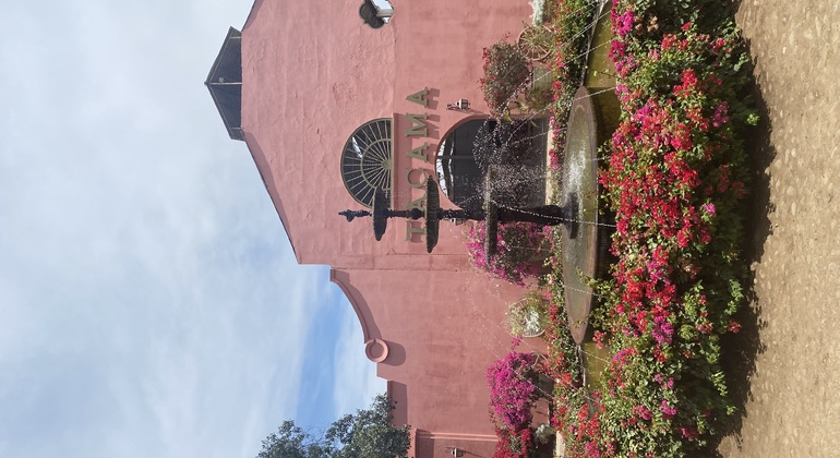 Visite en Tuk Tuk du vignoble TACAMA, le plus ancien d'Amérique du Sud