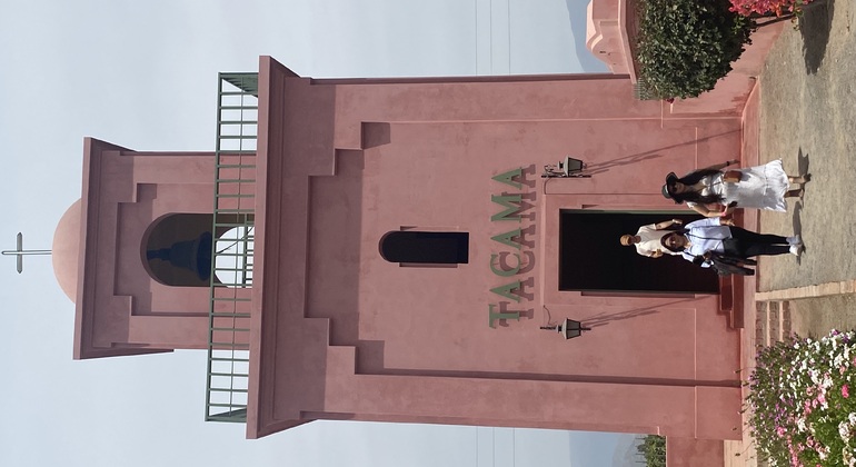 Visite en Tuk Tuk du vignoble TACAMA, le plus ancien d'Amérique du Sud