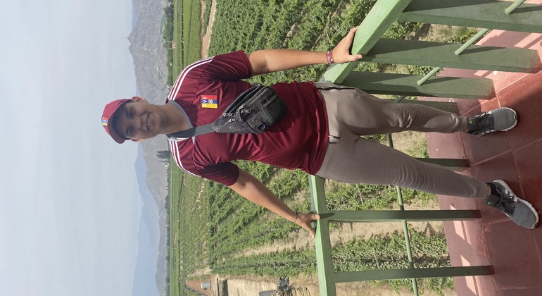 Visite en Tuk Tuk du vignoble TACAMA, le plus ancien d'Amérique du Sud
