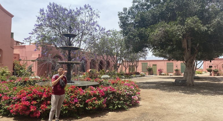 Visite en Tuk Tuk du vignoble TACAMA, le plus ancien d'Amérique du Sud
