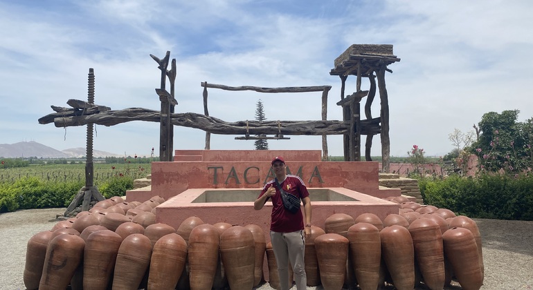 Visite en Tuk Tuk du vignoble TACAMA, le plus ancien d'Amérique du Sud