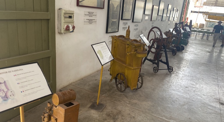Visite en Tuk Tuk du vignoble TACAMA, le plus ancien d'Amérique du Sud
