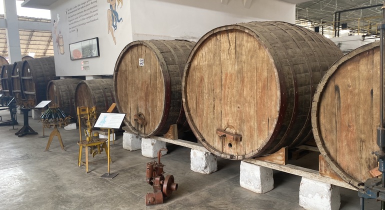 Visite en Tuk Tuk du vignoble TACAMA, le plus ancien d'Amérique du Sud