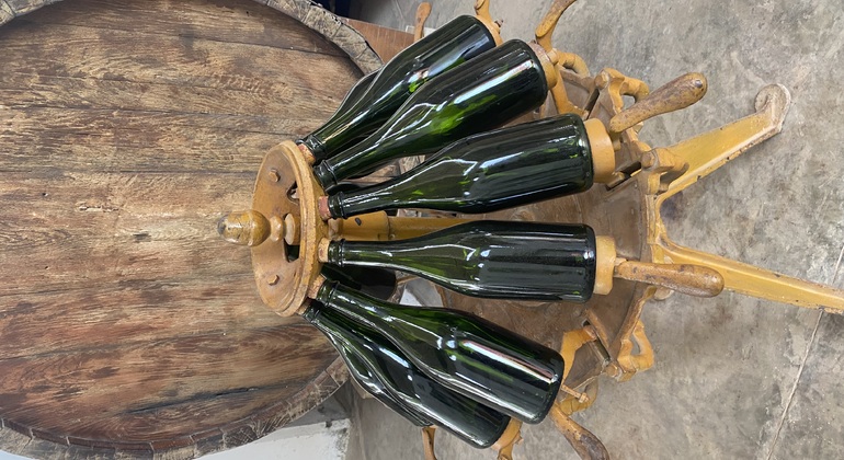 Visite en Tuk Tuk du vignoble TACAMA, le plus ancien d'Amérique du Sud