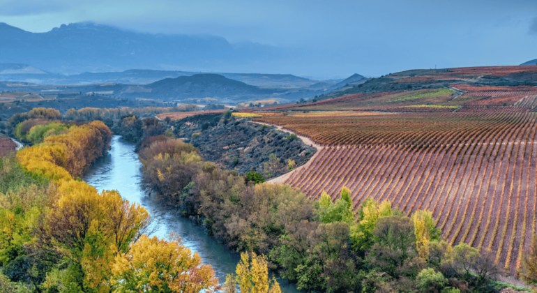 Authentische Rioja Tour