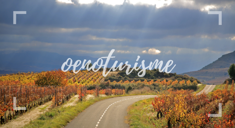 Authentische Rioja Tour