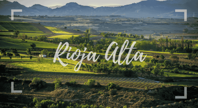 Authentische Rioja Tour