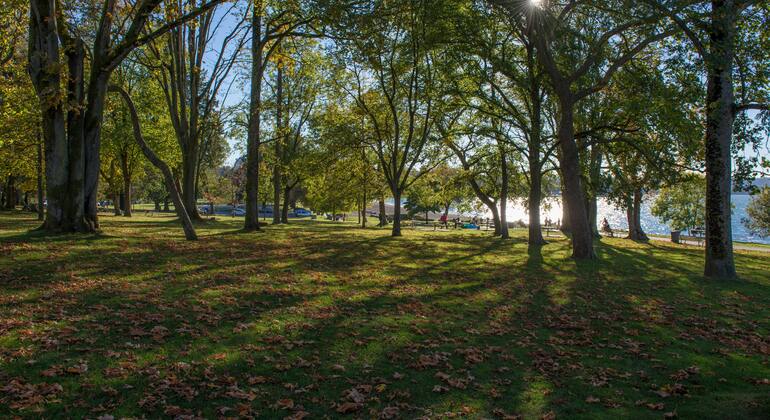 Vancouver Stanley Park Highlights Tour