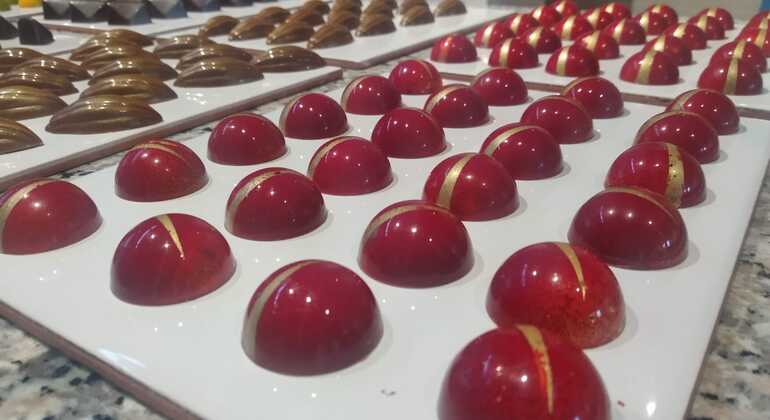 Brussels Chocolate and Beer Tour