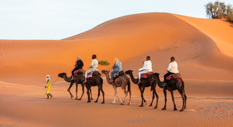 Tour di scoperta del deserto per i nomadi e la Khamlia