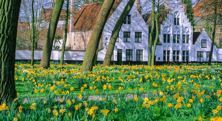 Audio Guide App: Brügge Stadtrundgang