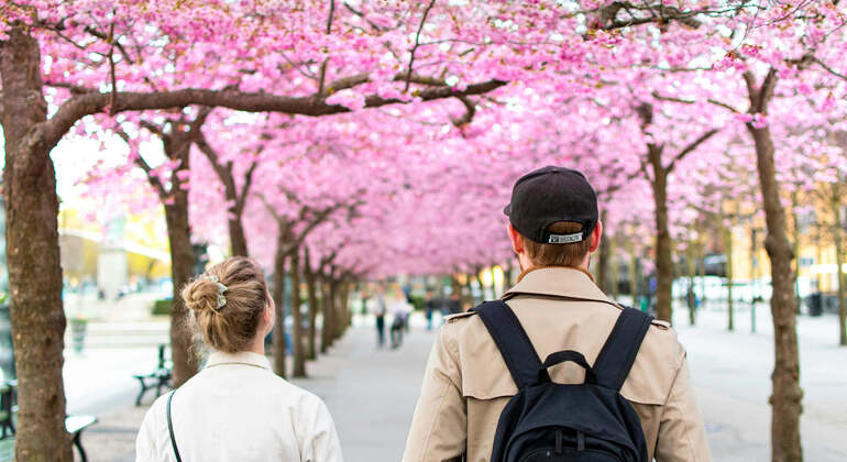 Audio Guide App: Stockholm City Walk