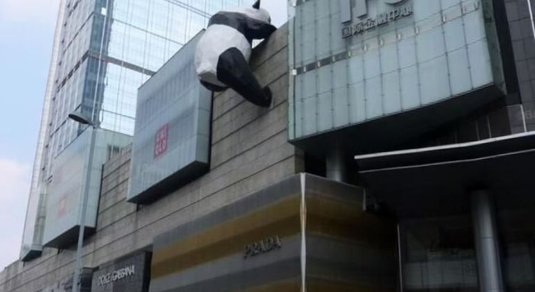 Parque Panda de Chengdu Excursión diaria en autobús con entradas
