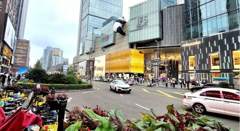 Parque Panda de Chengdu Excursión diaria en autobús con entradas