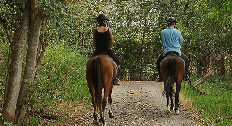 Lagos Nature Tour: Centro de Conservación de Lekki y Parque Natural de Lufasi