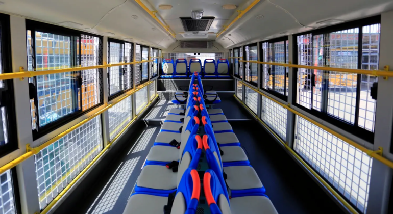 Excursión en autobús por el Parque del Tigre Siberiano de Harbin