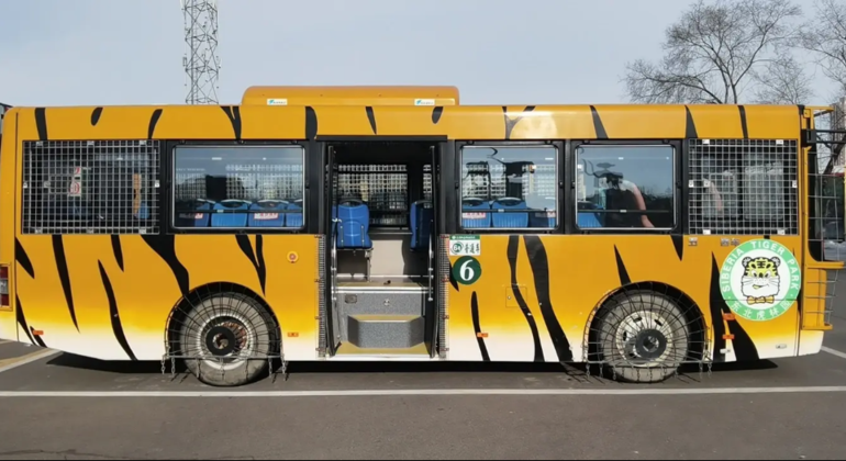 Excursión en autobús por el Parque del Tigre Siberiano de Harbin