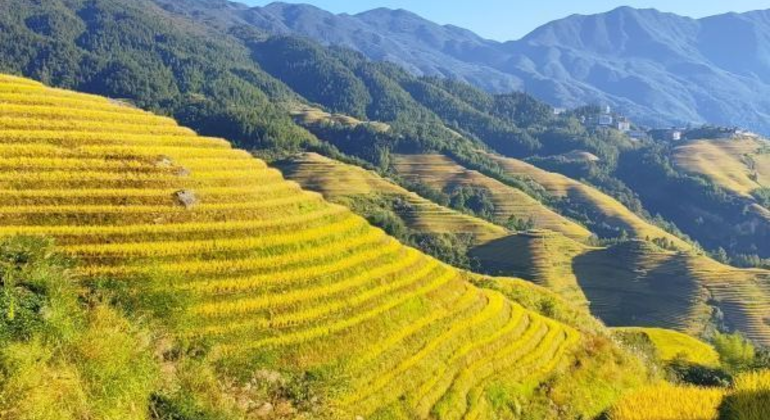 Longji Jinkeng Bus: Jinfo Peak & Xishan Shaoyue Ein-Tages-Tour