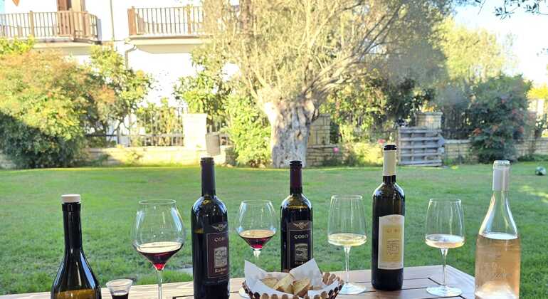 Wine Tasting Tour in Berat 