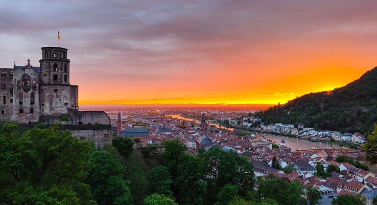 Jenseits der Postkarten: Private Führung durch Heidelberg und das Schloss