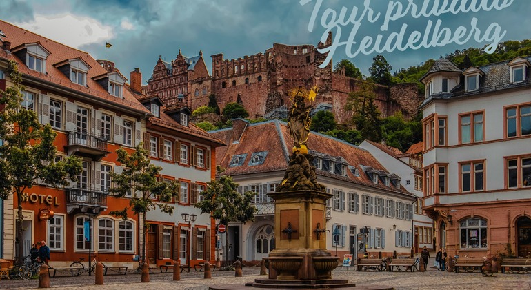 Oltre le cartoline: tour privato di Heidelberg e del castello