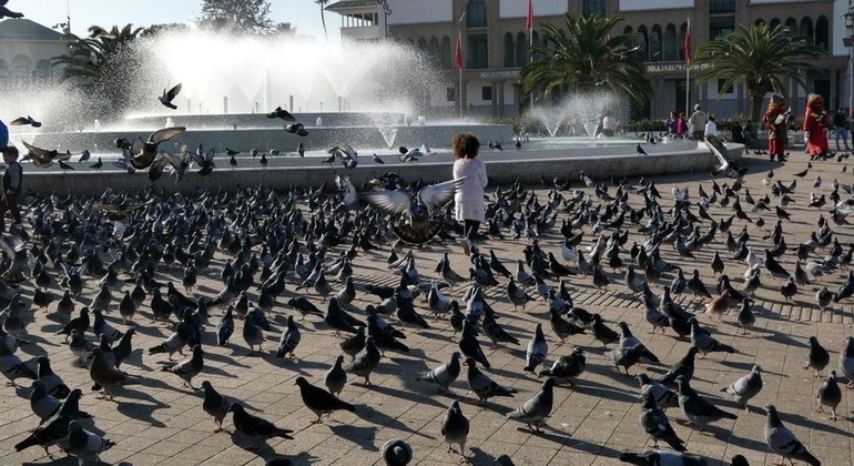 Das authentische Casablanca: Die Entdeckung der Seele der Stadt