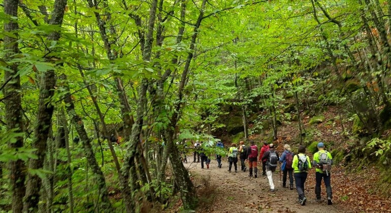 Serra da Estrela Guided Hiking Tour - Wild Boar Route & Hidden Stories