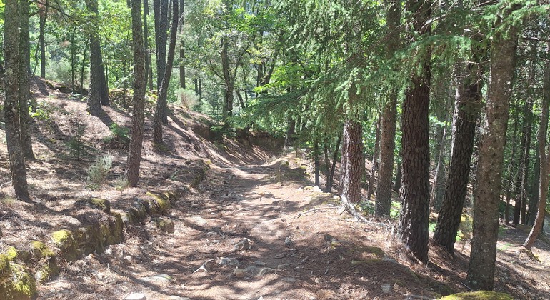 Serra da Estrela Guided Hiking Tour - Wild Boar Route & Hidden Stories